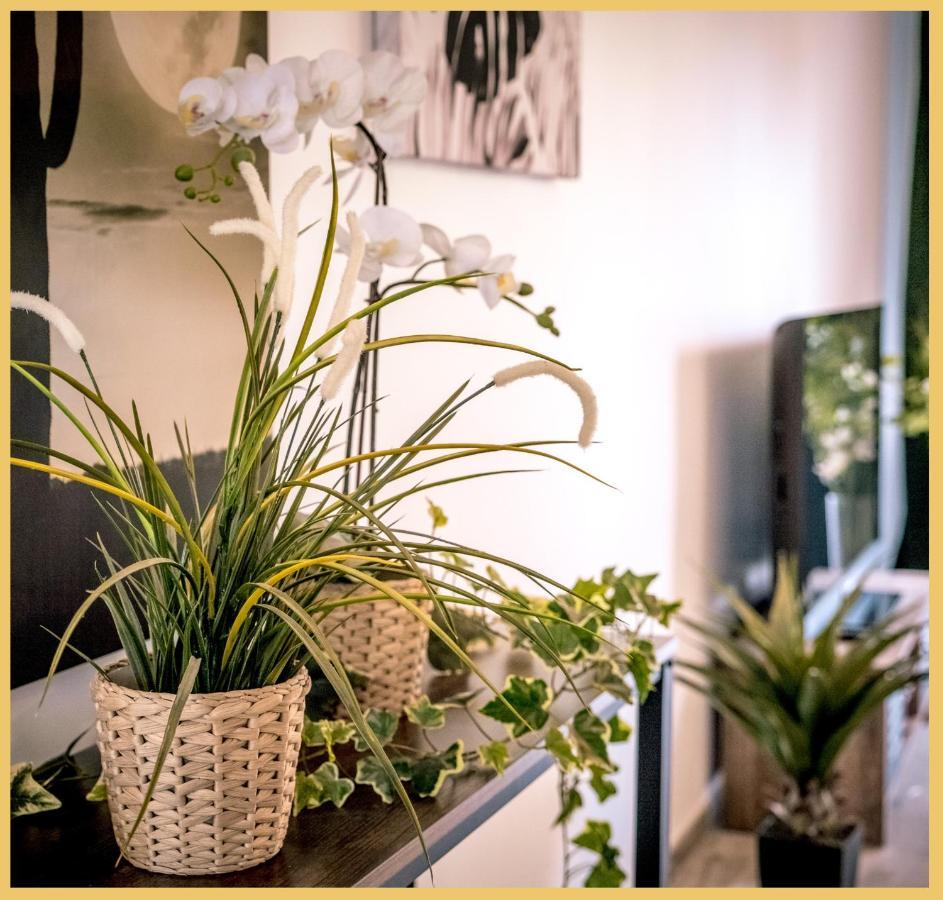 Appartement T3 I Cozy I Дувен Екстер'єр фото